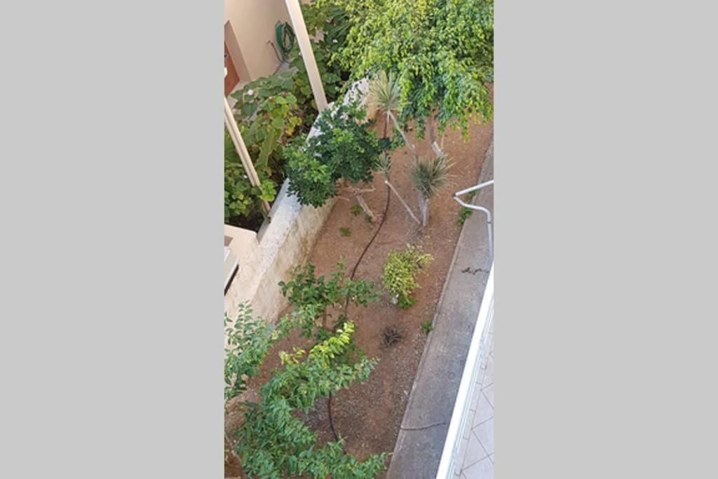 Ellis Apartments , Amperia , Crete Χανιά Εξωτερικό φωτογραφία